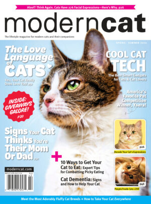 modern cat usa spring summer 2024 ereadspot.jpg
