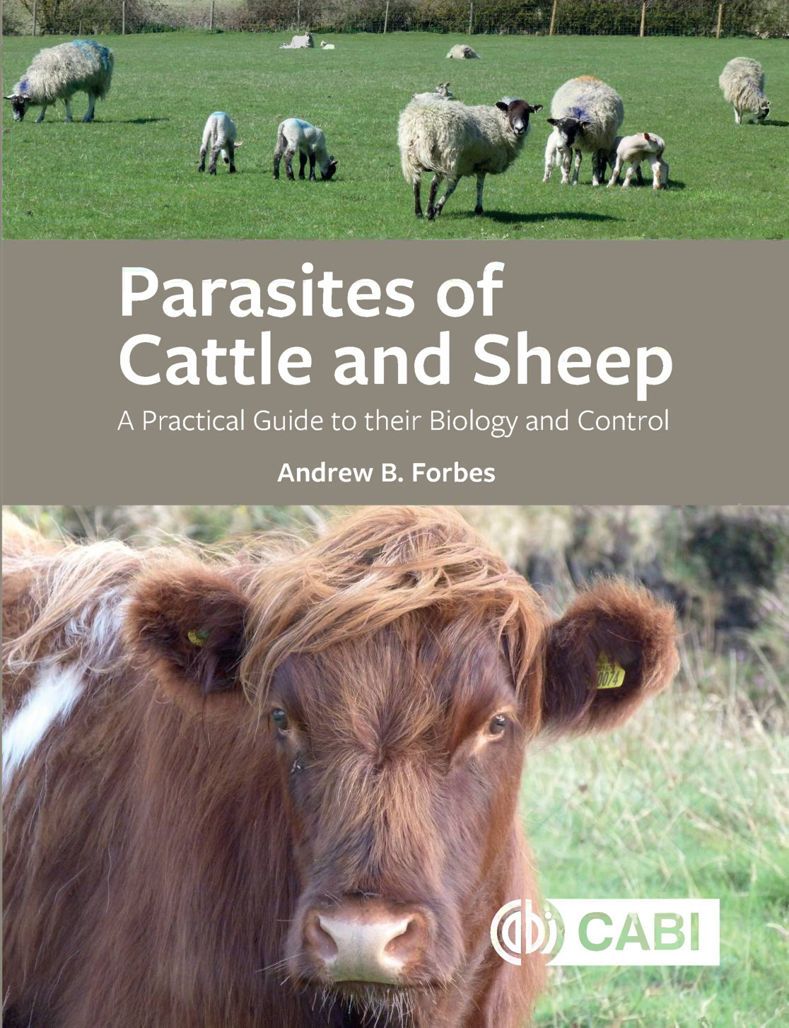 parasites of cattle and sheep a practical guide to their bi.jpg