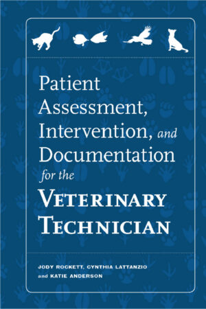 patient assessment intervention and documentation for the ve.jpg