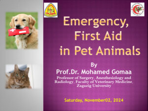 pet emergency prof dr mohamed gomaa 241104 190716 ereadspo.jpg