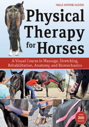 physical therapy for horses a visual course in massage str.jpg