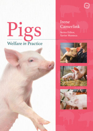 pigs welfare in practice ereadspot com .jpg
