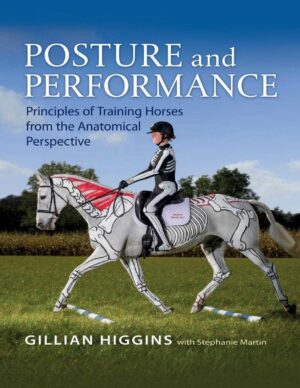 posture and performance, principles of training horses from the anatomical perspective gillian higgins