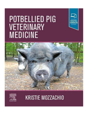 potbellied pig veterinary medicine ereadspot com .jpg