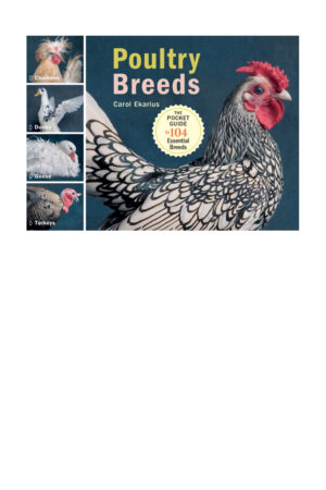 poultry breeds chickens ducks geese turkeys the pocket .jpg