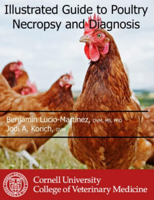 poultry necropsy and diagnosis guide cornell university ere.jpg