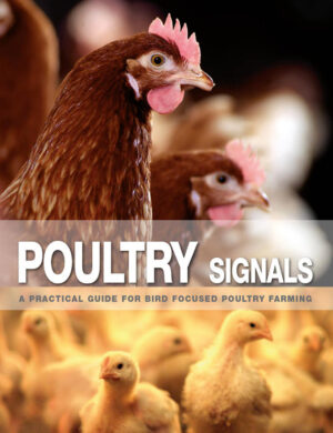 poultry signals a practical guide for bird focused poultry .jpg