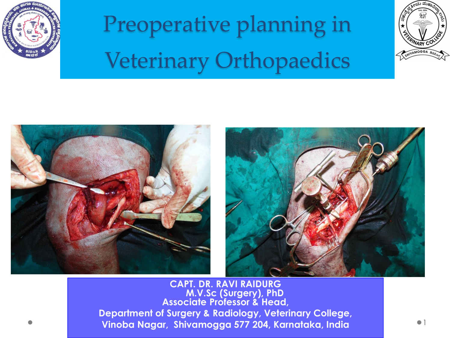 preoperative planning in veterinary orthopaedics ravi raidur.jpg preoperative planning in veterinary orthopaedics ravi raidur.jpg