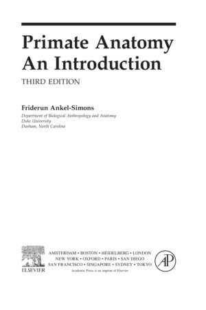 primate anatomy an introduction 3rd edition.jpg