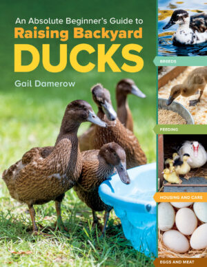 raising backyard ducks gail damerow 2023 ereadspot.jpg
