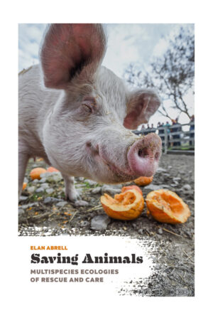 saving animals multispecies ecologies of rescue and care e.jpg
