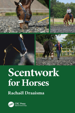 scentwork for horses ereadspot com .jpg