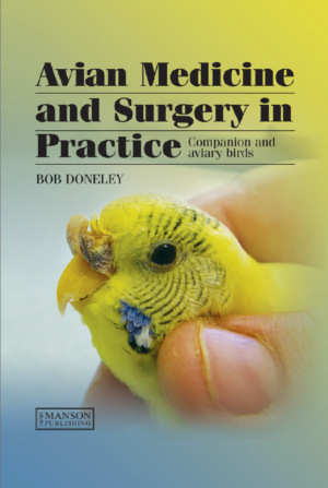 screenshot 2026 08 29 233919