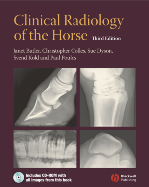 screenshot 2026 09 06 011735