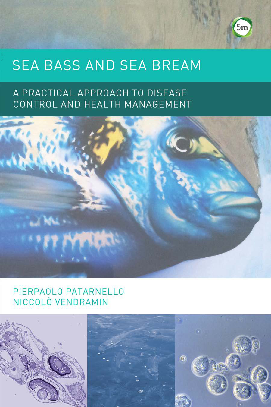 sea bass and sea bream a practical approach to disease cont.jpg