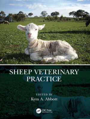 sheep veterinary practice ereadspot com .jpg