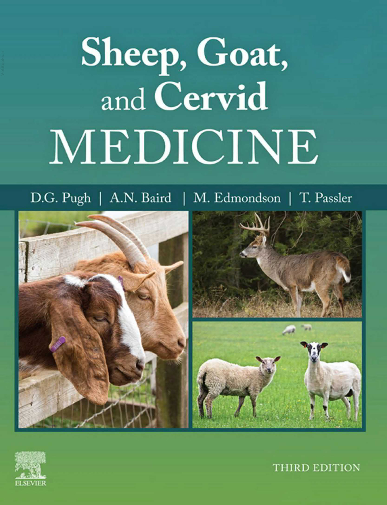 sheep goat and cervid medicine 3rd edition ereadspot com.jpg sheep goat and cervid medicine 3rd edition ereadspot com.jpg