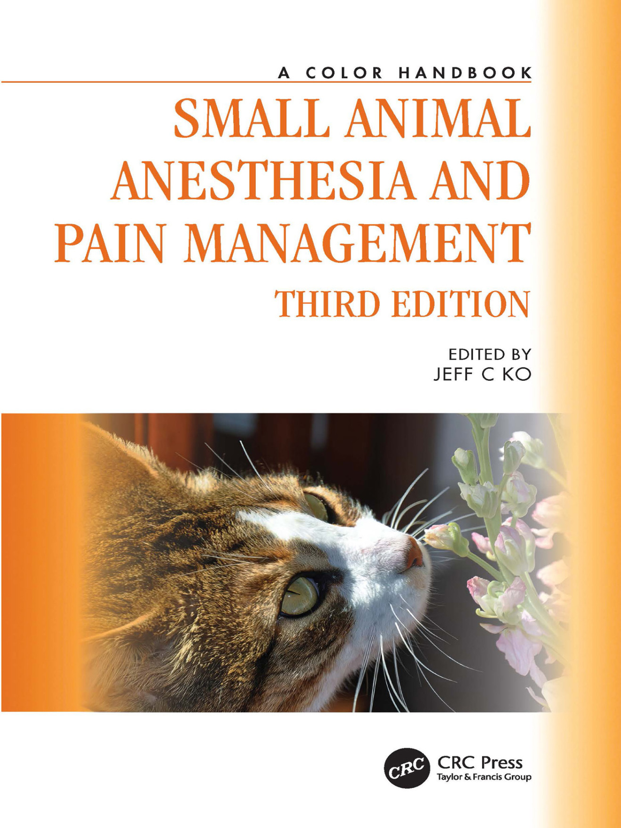 small animal anesthesia and pain management a color handbook.jpg