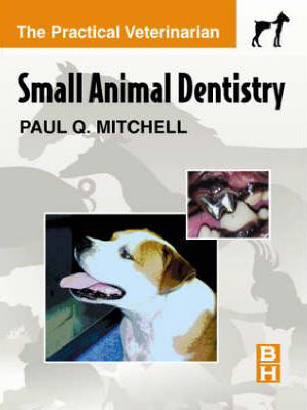 small animal dentistry ereadspot.jpg small animal dentistry ereadspot.jpg