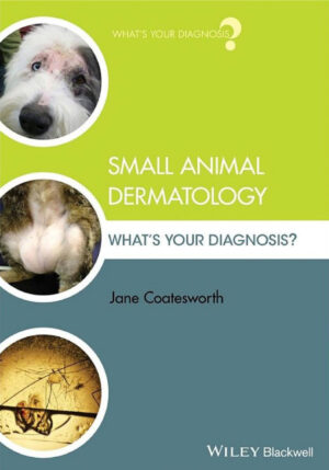 small animal dermatology what s your diagnosis ereadspot.jpg