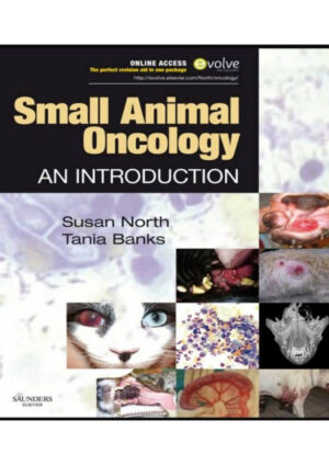 small animal oncology an introduction ereadspot.jpg