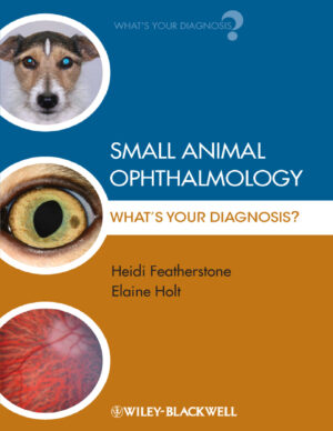 small animal ophthalmology what 039 s your diagnosis eread.jpg