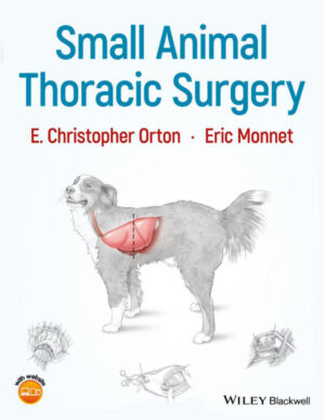 small animal thoracic surgery ereadspot com .jpg