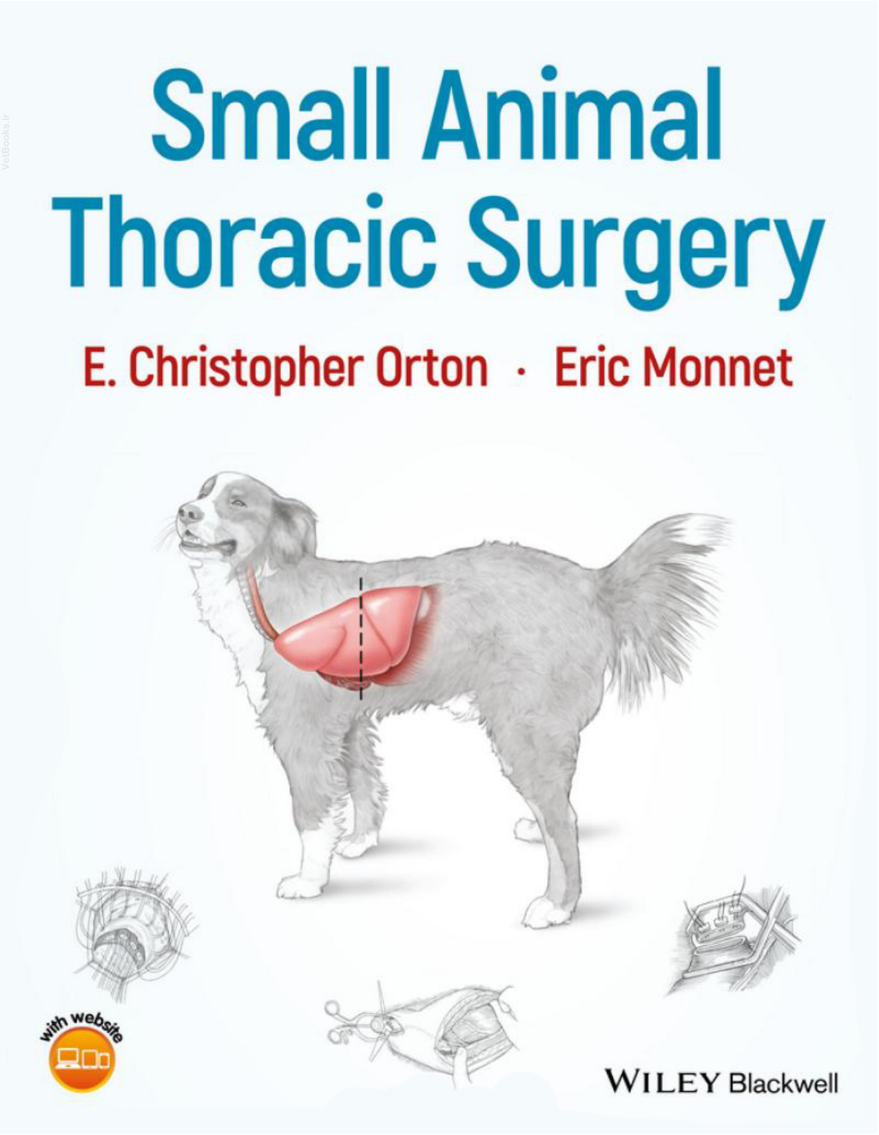 small animal thoracic surgery ereadspot com .jpg small animal thoracic surgery ereadspot com .jpg