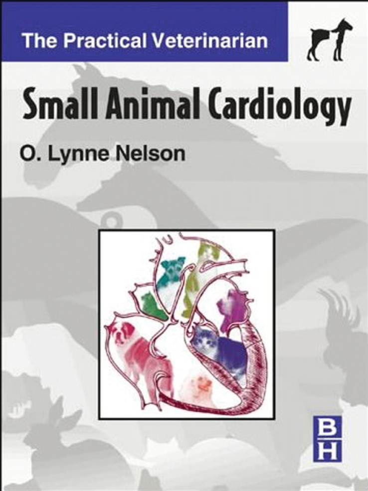 small animal cardiology nelson ereadspot.jpg small animal cardiology nelson ereadspot.jpg