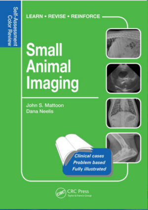 small animal imaging 2 ereadspot.jpg