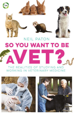 so you want to be a vet the realities of studying and worki.jpg