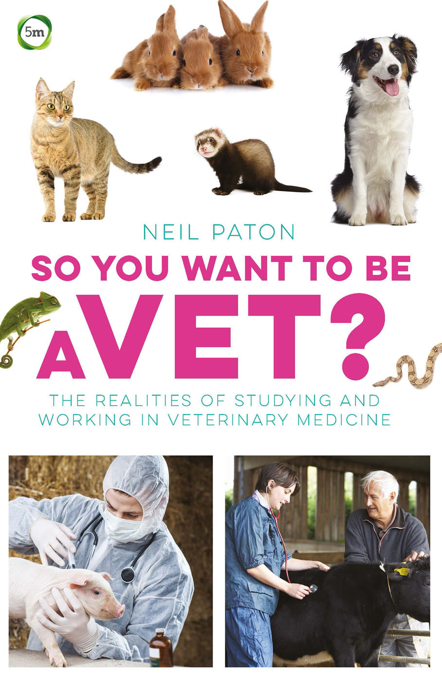 so you want to be a vet the realities of studying and worki.jpg