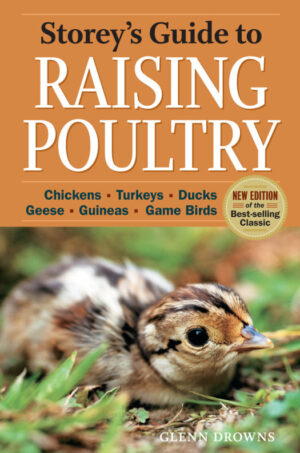 storey s guide to raising poultry chickens turkeys ducks .jpg