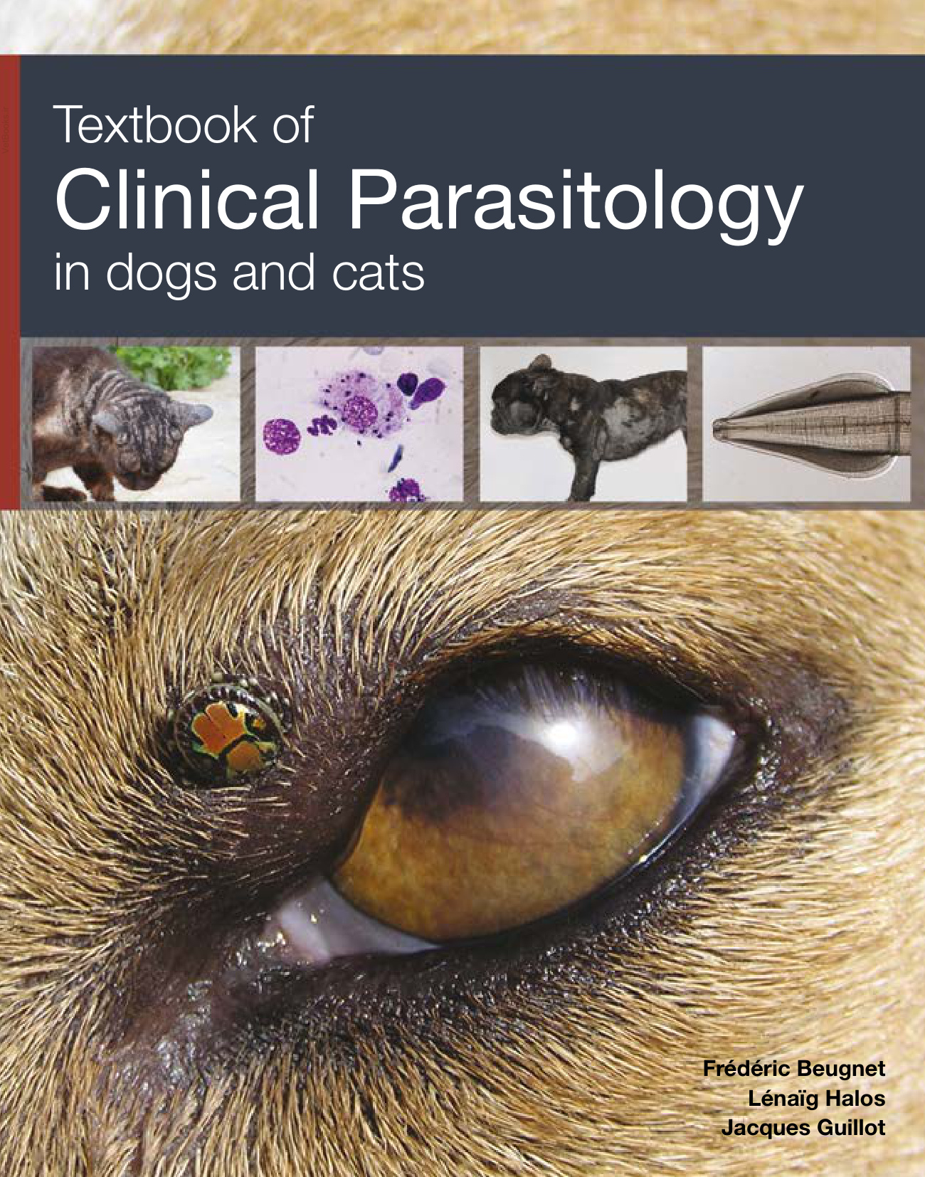 textbook of clinical parasitology in dogs and cats ereadspo.jpg textbook of clinical parasitology in dogs and cats ereadspo.jpg