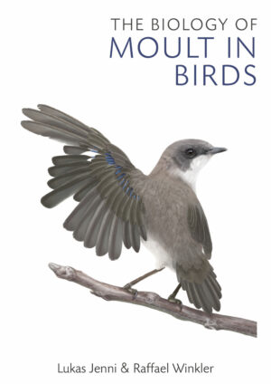 the biology of moult in birds ereadspot com .jpg