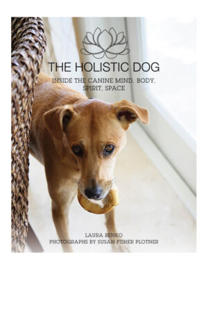 the holistic dog inside the canine mind body spirit spac.jpg