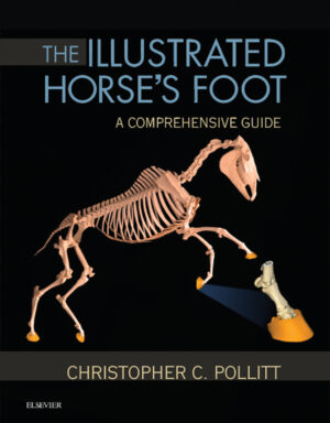 the illustrated horse s foot a comprehensive guide ereadspo.jpg