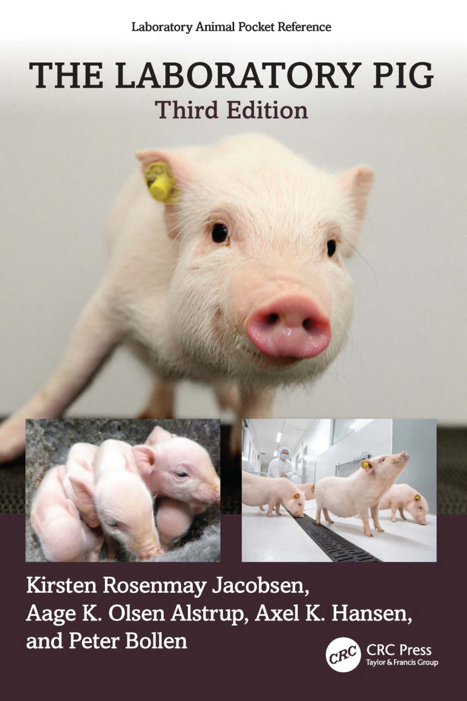the laboratory pig 3rd edition ereadspot.jpg the laboratory pig 3rd edition ereadspot.jpg