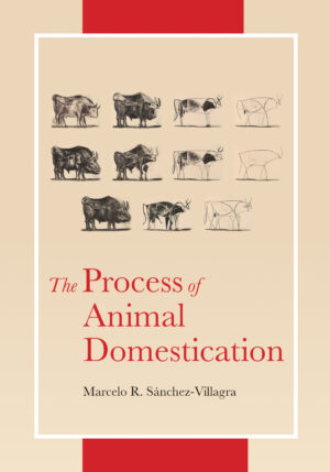 the process of animal domestication ereadspot com .jpg