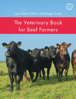 the veterinary book for beef farmers ereadspot com .jpg
