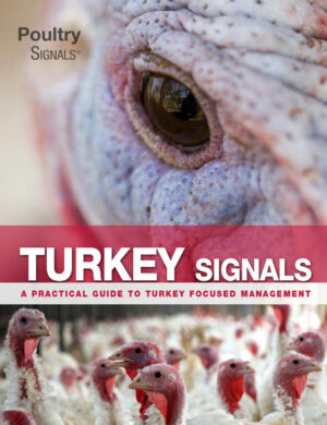 turkey signals a practical guide to turkey focused manageme.jpg