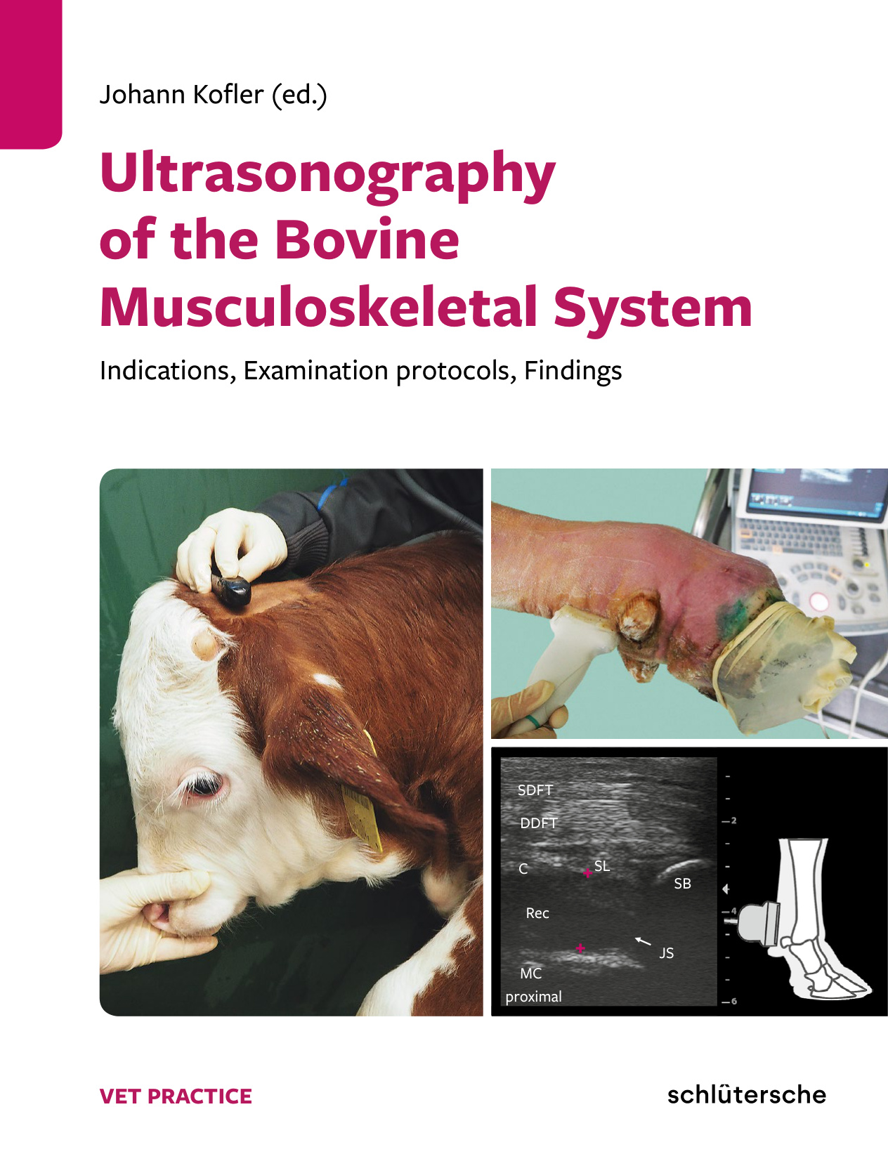 ultrasonography of the bovine musculoskeletal system indica.jpg ultrasonography of the bovine musculoskeletal system indica.jpg