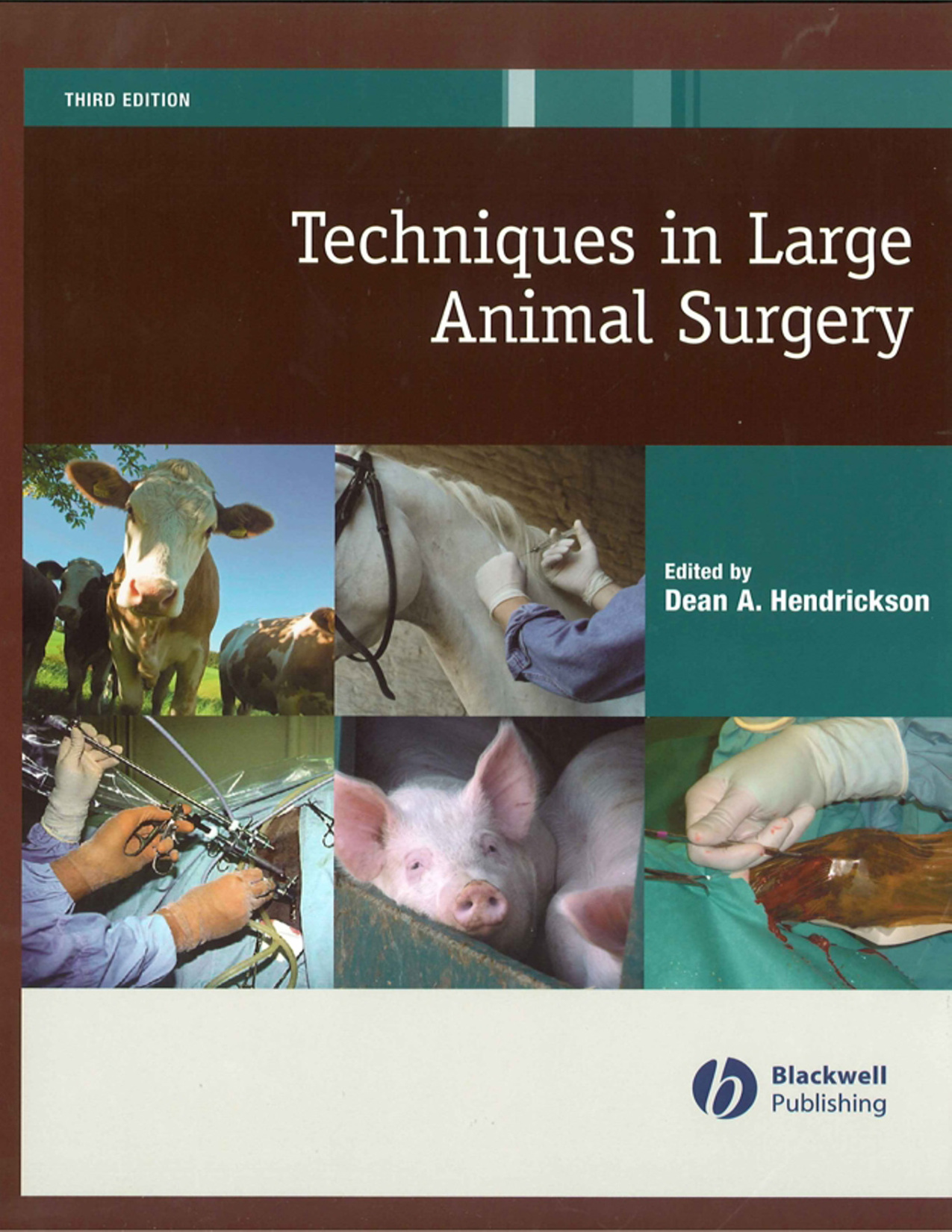 vet techniques of large animal surgery 2 ereadspot.jpg vet techniques of large animal surgery 2 ereadspot.jpg