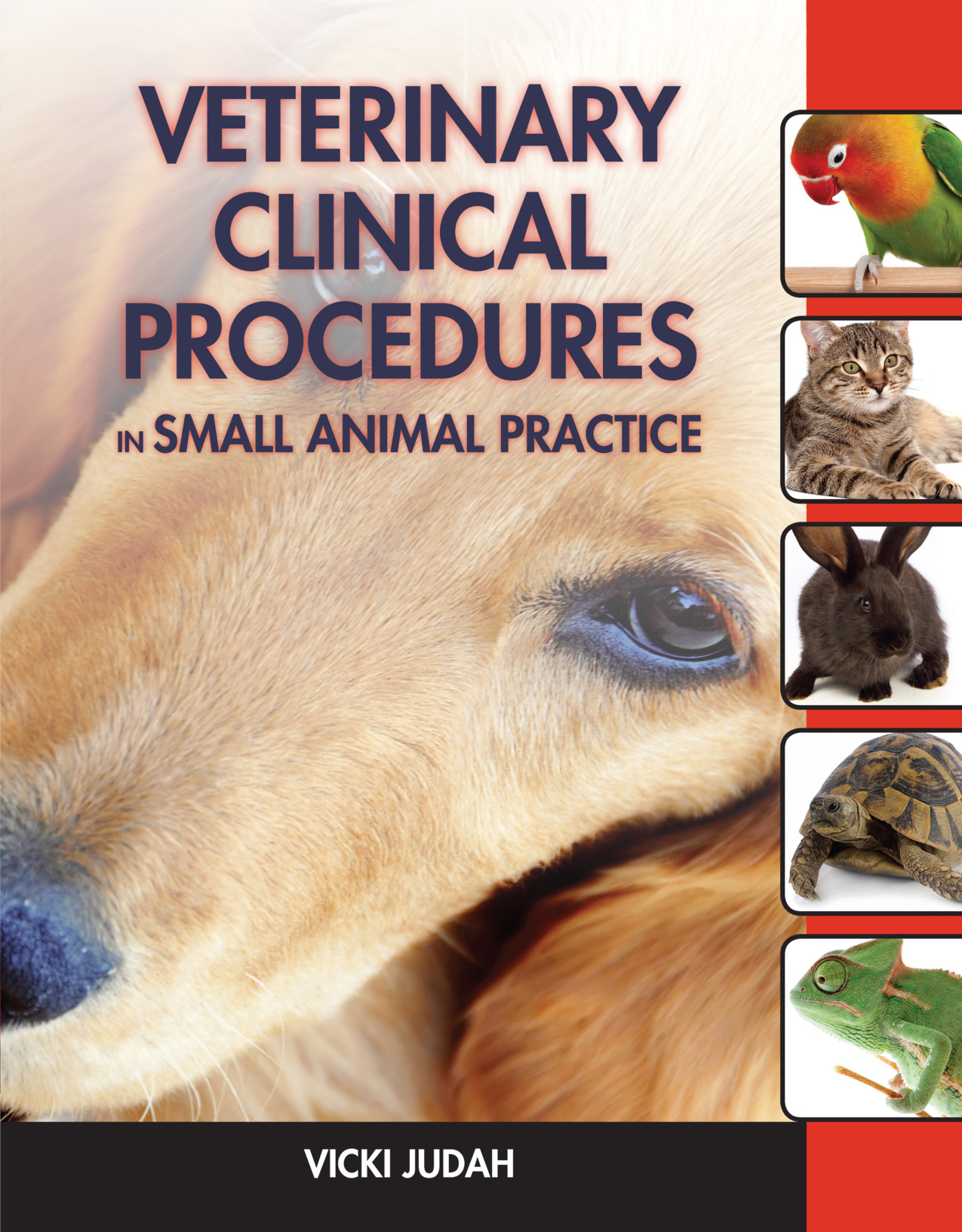 veterinary clinical procedures in small animal practice 1e e.jpg veterinary clinical procedures in small animal practice 1e e.jpg