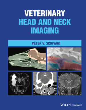 veterinary head and neck imaging ereadspot com .jpg