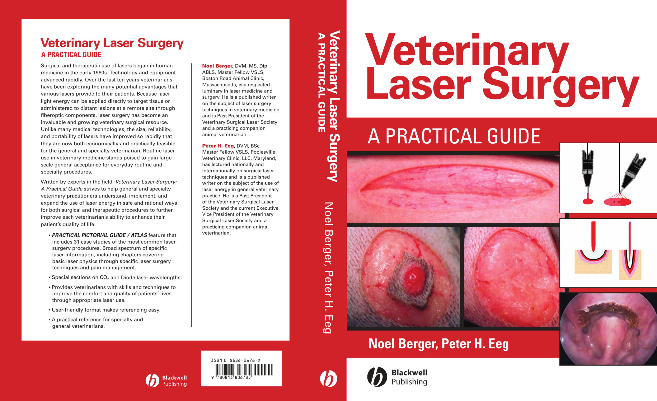 veterinary laser surgery a practical guide 1 ereadspot.jpg veterinary laser surgery a practical guide 1 ereadspot.jpg