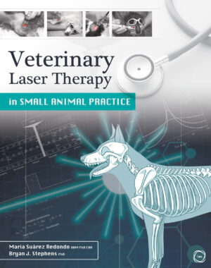 veterinary laser therapy in small animal practice ereadspot.jpg