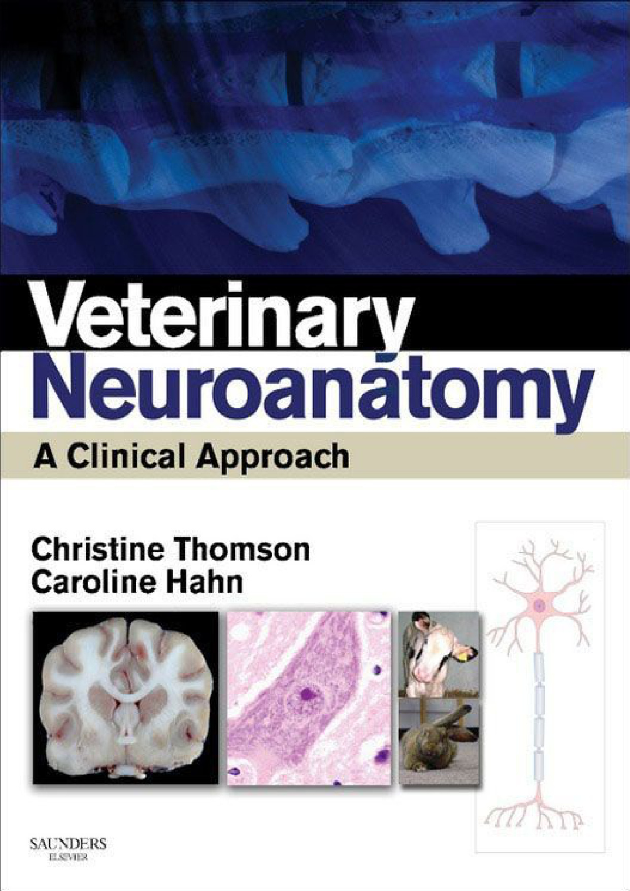 veterinary neuroanatomy a clinical approach christine e thom.jpg veterinary neuroanatomy a clinical approach christine e thom.jpg