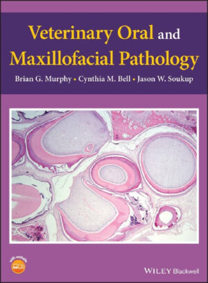 veterinary oral and maxillofacial pathology ereadspot com .jpg