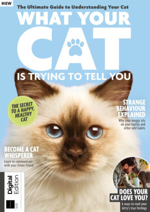 what your cat is trying to tell you ed2 2023 ereadspot.jpg